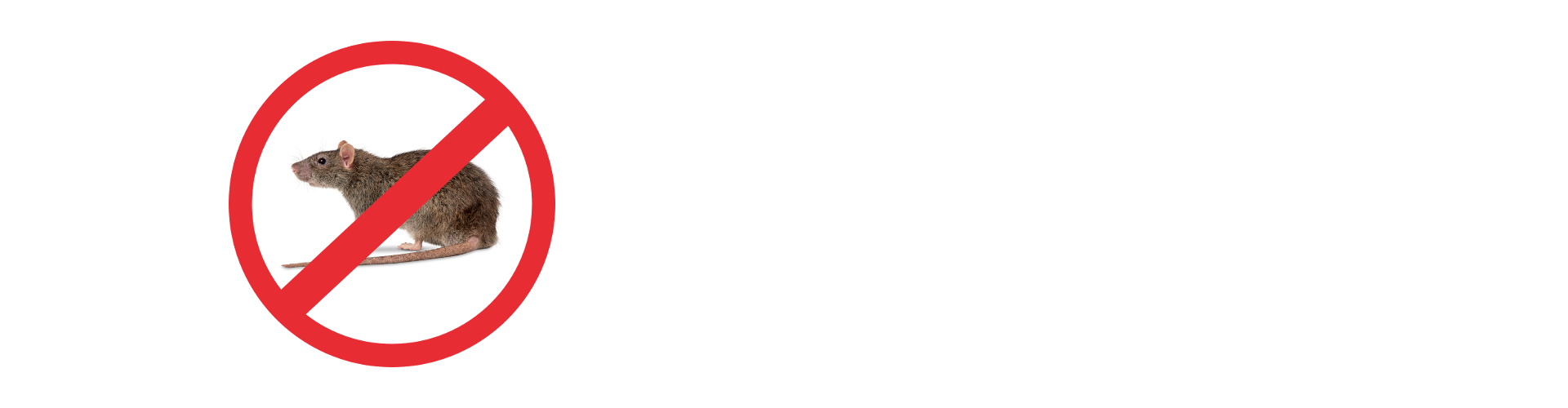 Deratyzacja - DDD